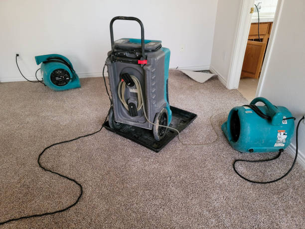 Best Ceiling water damage repair  in Mountain View Acres, CA