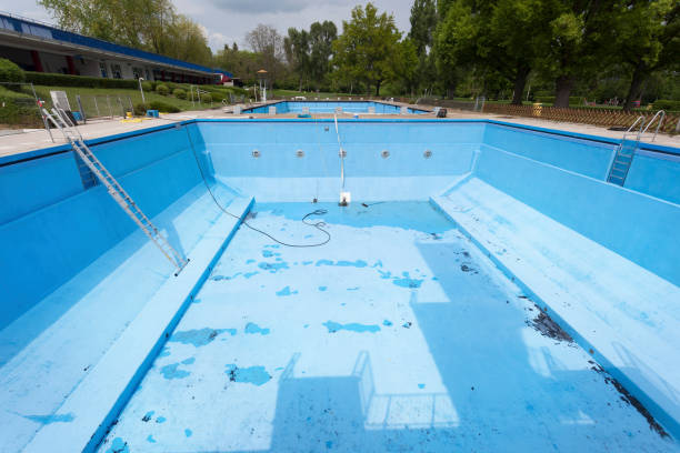 Best Mold removal after water damage  in Mountain View Acres, CA
