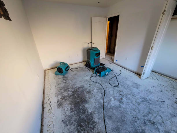 Best Professional water damage repair  in Mountain View Acres, CA