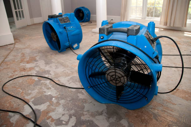 Best Flood restoration services  in Mountain View Acres, CA