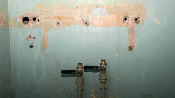 Best Sewage cleanup and water damage restoration  in Mountain View Acres, CA